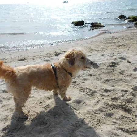 Hausboot Emmas Meerzeit, Tolle Dachterrasse, Parkplatz * Нойштадт (Гольштейн)